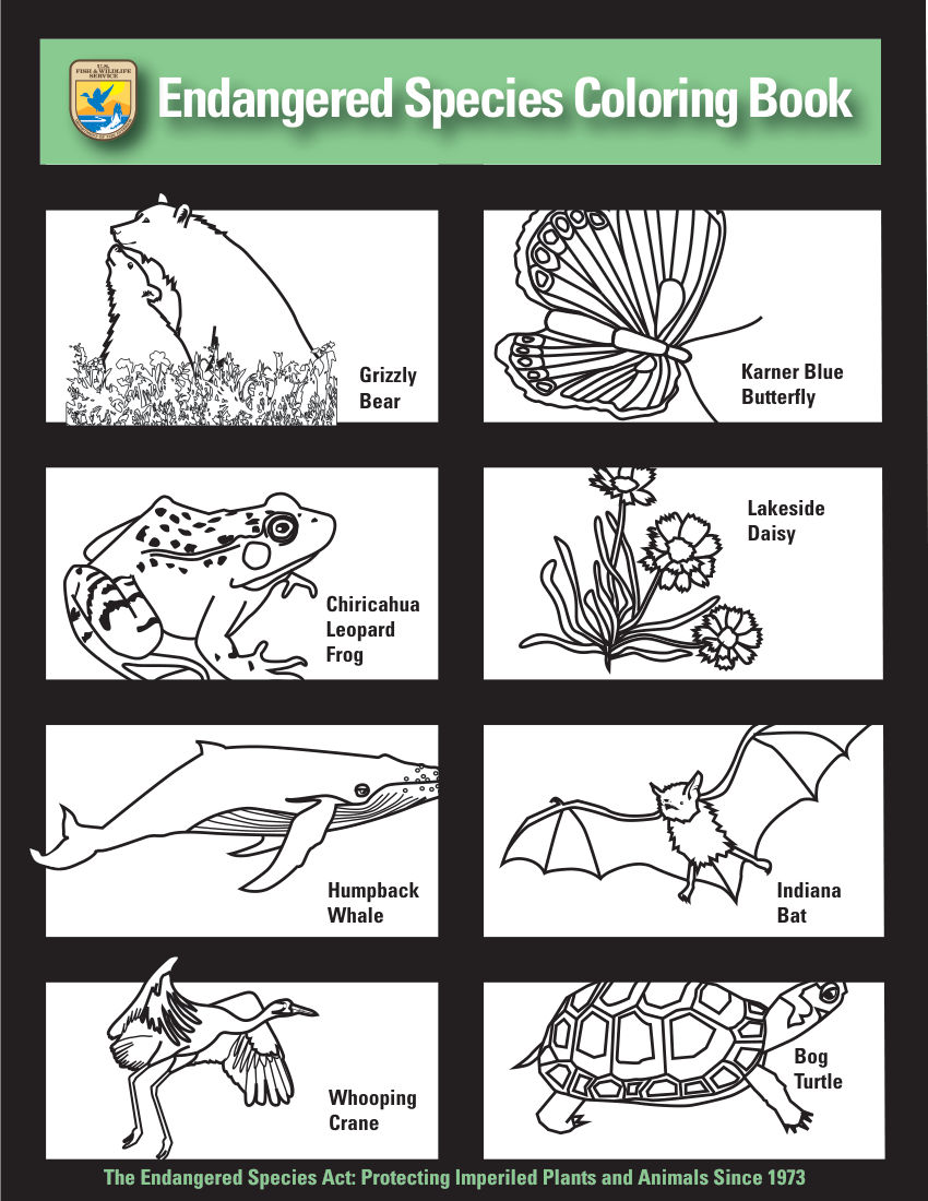 Endangered Species Coloring Book