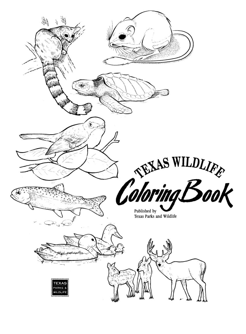 Texas Wildlife Coloring Book
