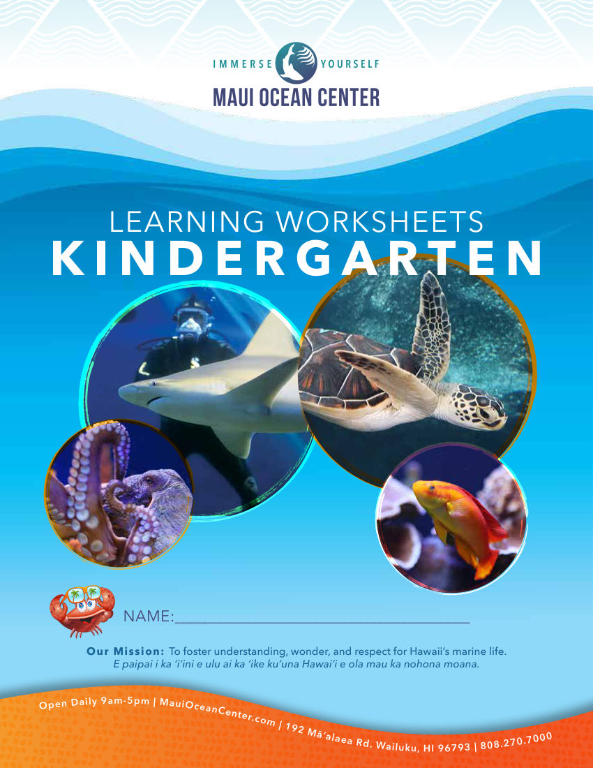 Kindergarten worksheet Activity Book