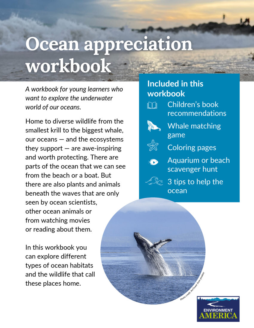 Ocean Appreciation Activity Book