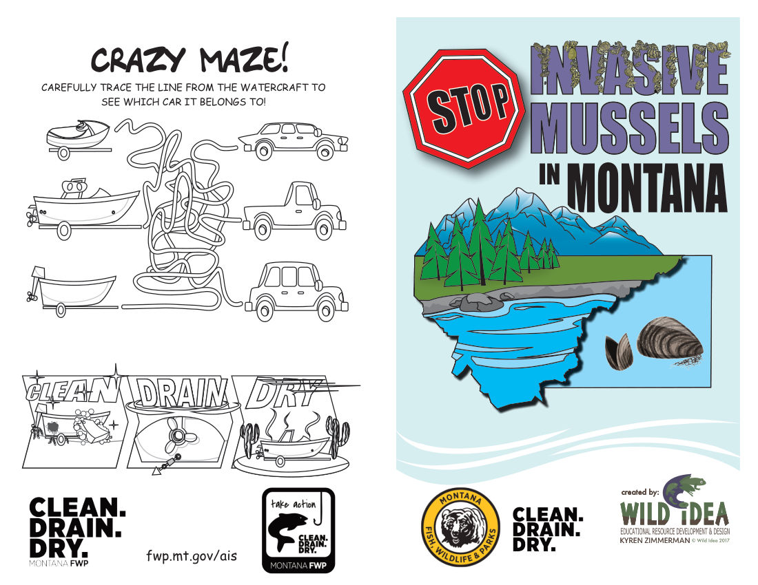 Invasive Mussels In Montana Activity Book
