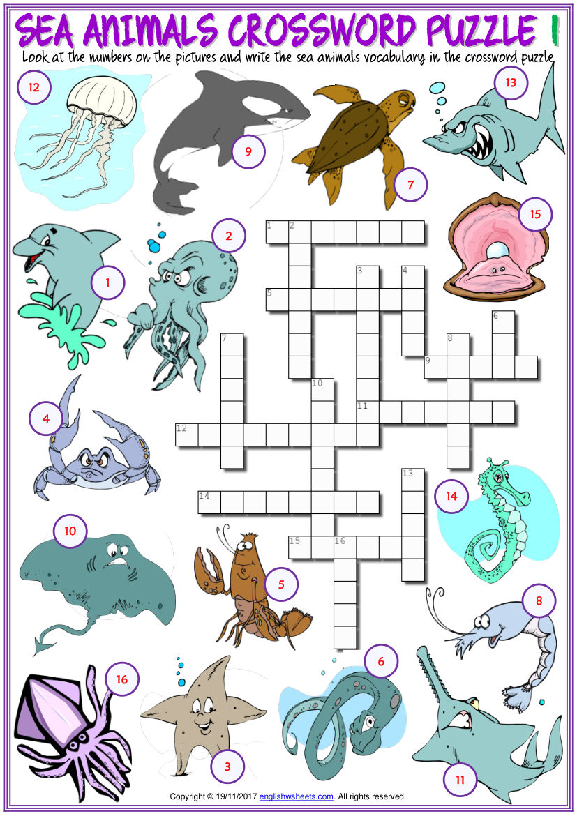 Sea Animals Activity Book