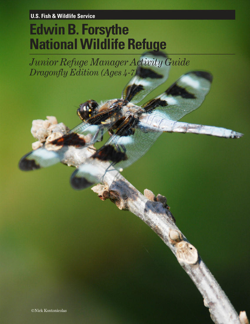 Junior Refuge Manager Activity Guide: Dragonfly Edition
