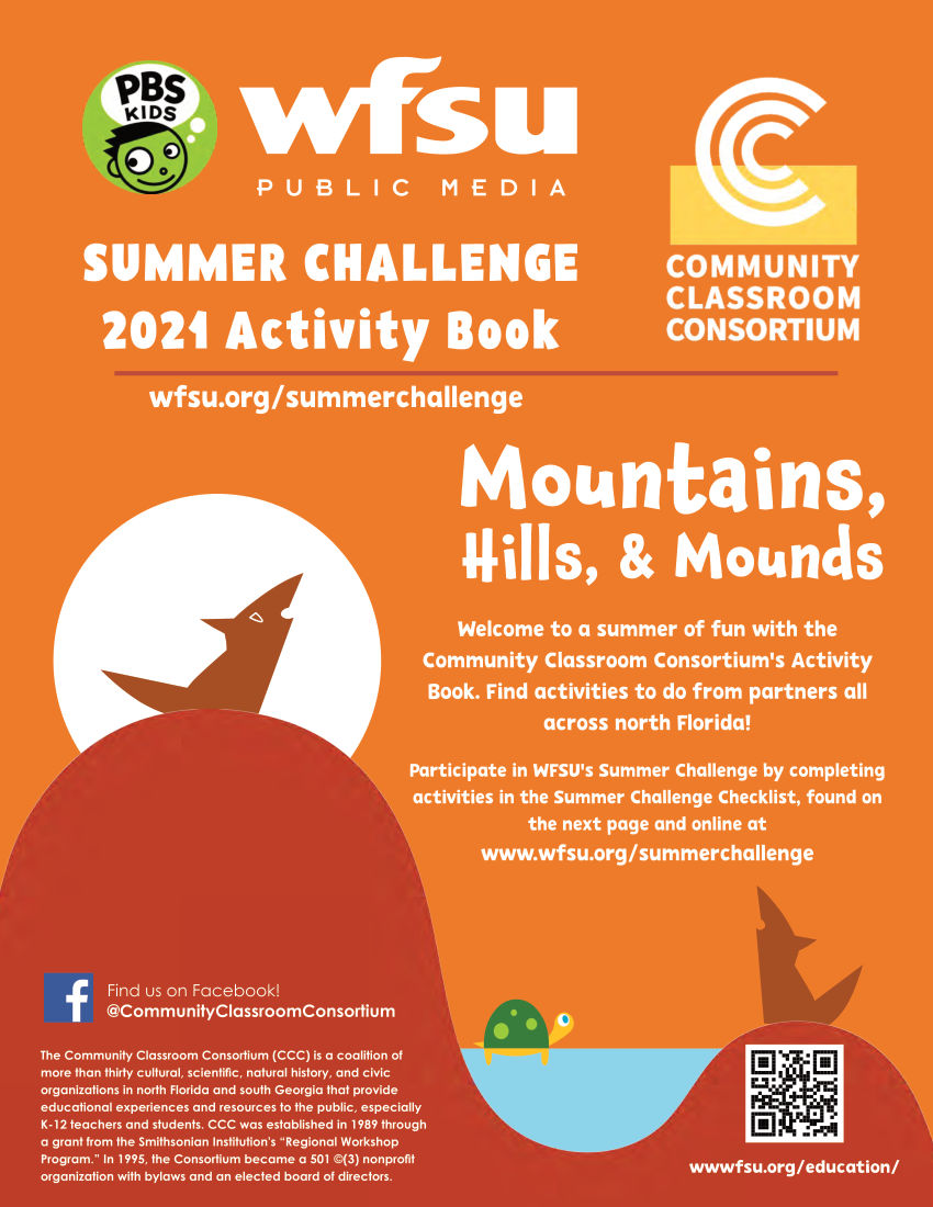 Summer Challenge Activity Book