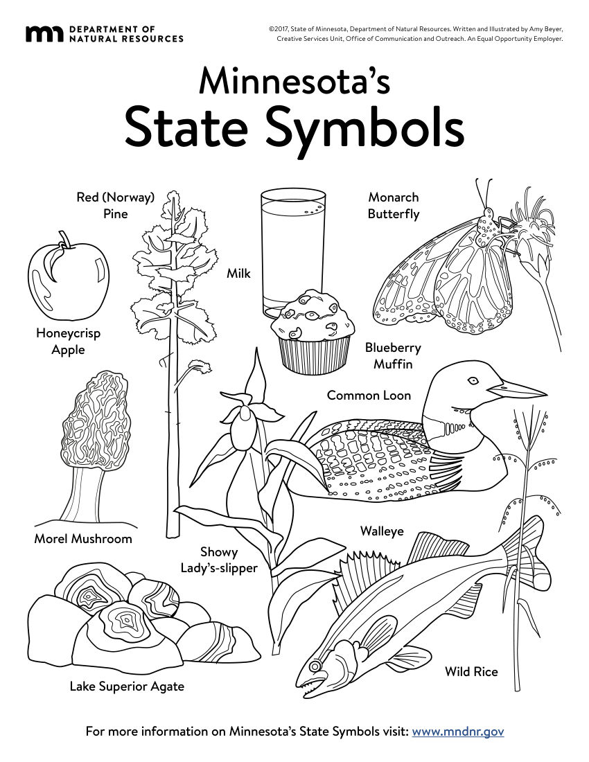 Minnesota'S State Symbols Coloring Book