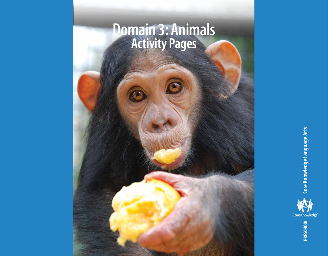 Animals Activity - Activity Book