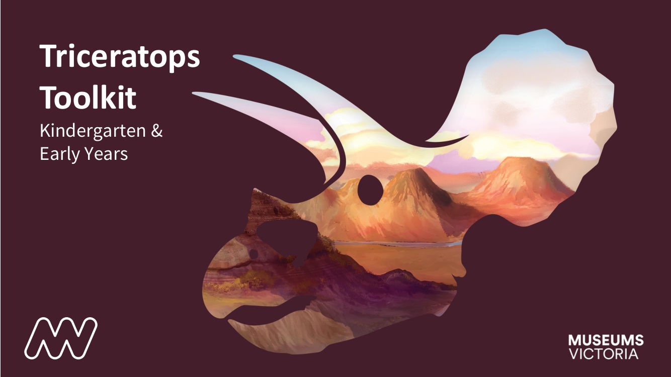Triceratops Toolkit Activity Book