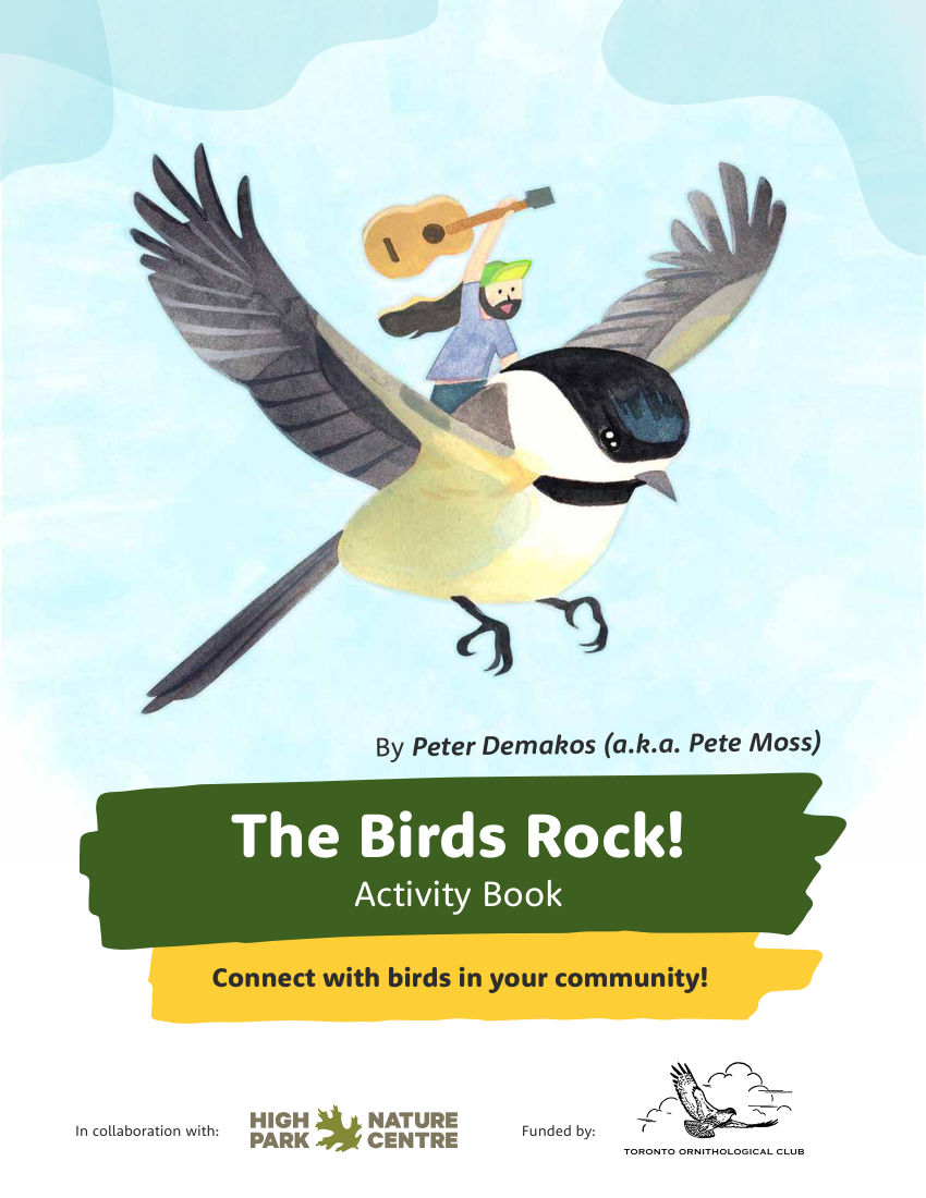 The Birds Rock! Activity Book