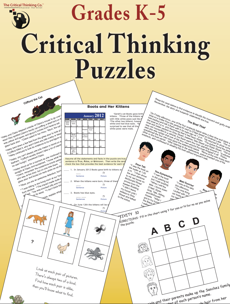 Critical Thinking Puzzles
