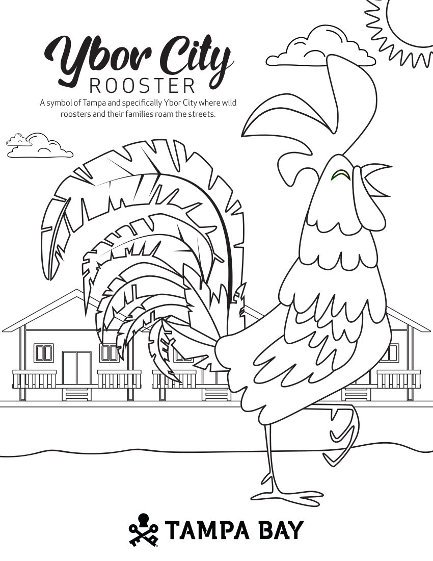 Tampa Bay Coloring Book