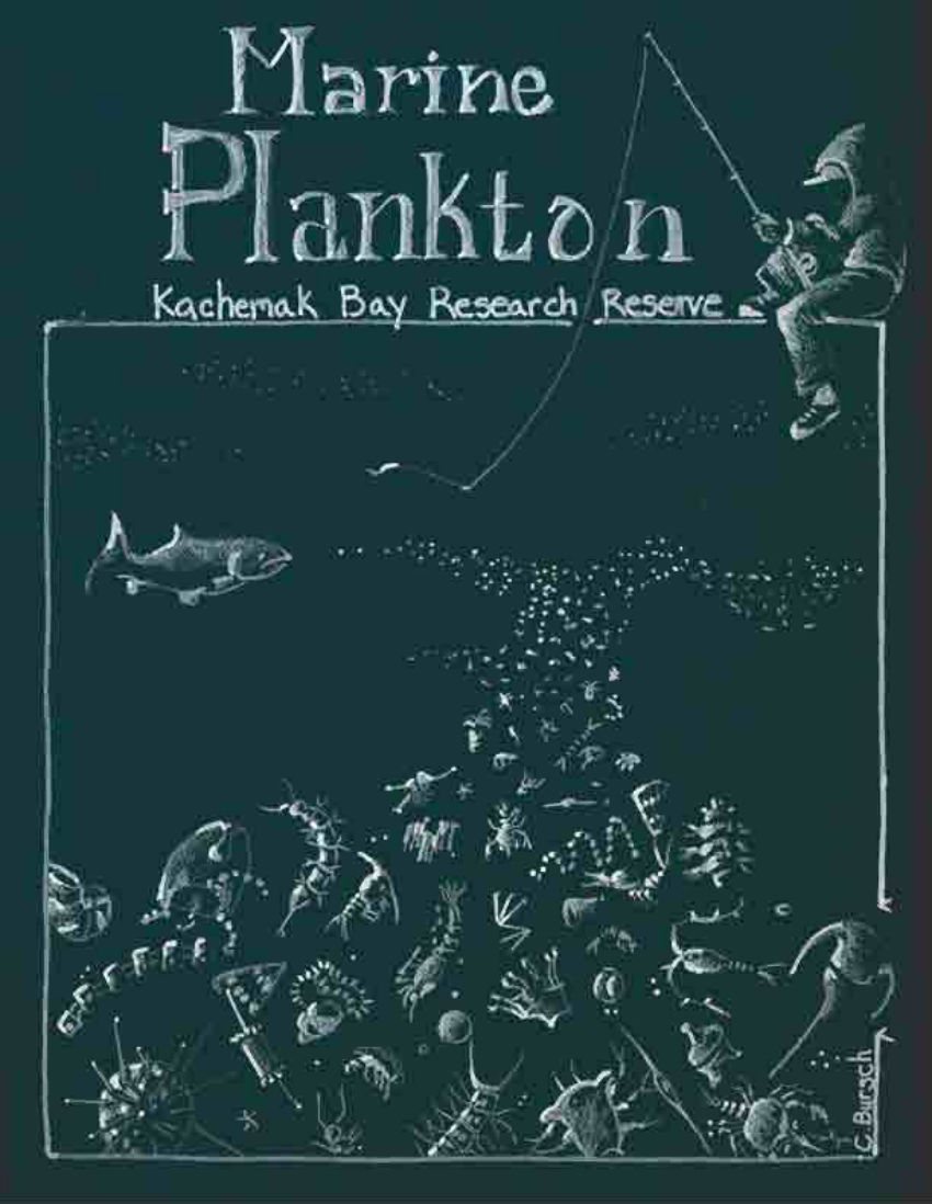 Marine Plankton Coloring Book