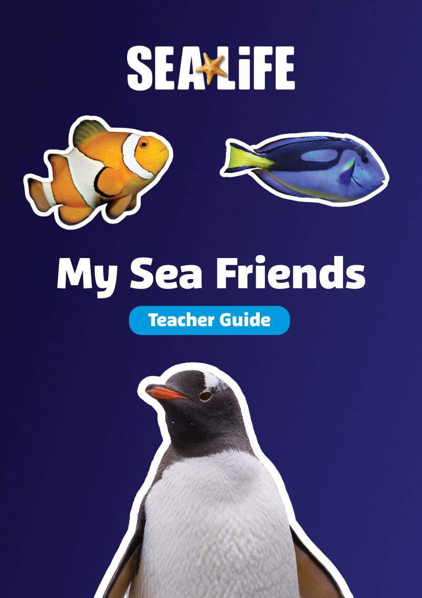Sea Life Activity Book