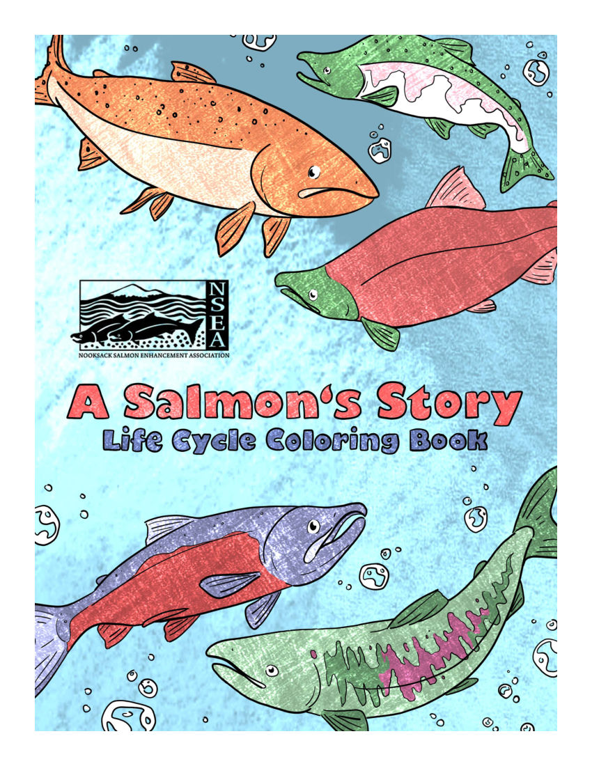 A Salmon'S Story: Life Cycle Coloring Book