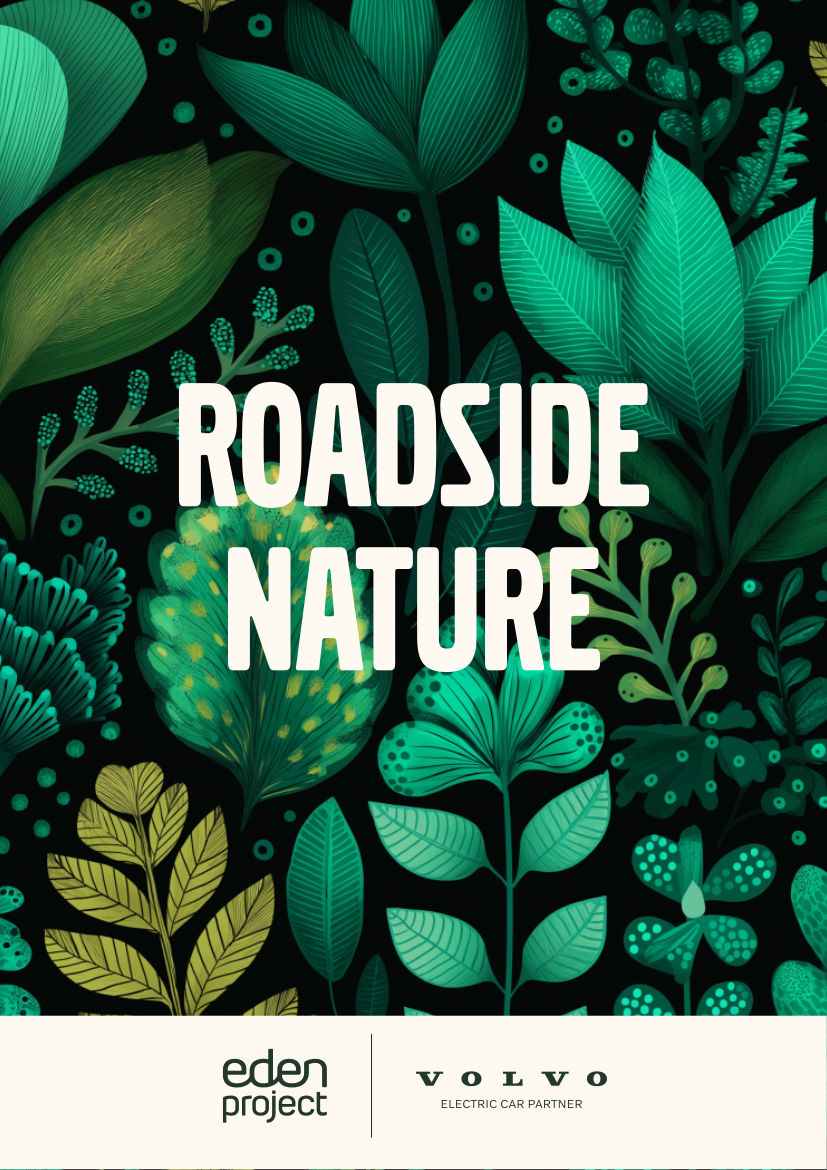 Nature Activity Book