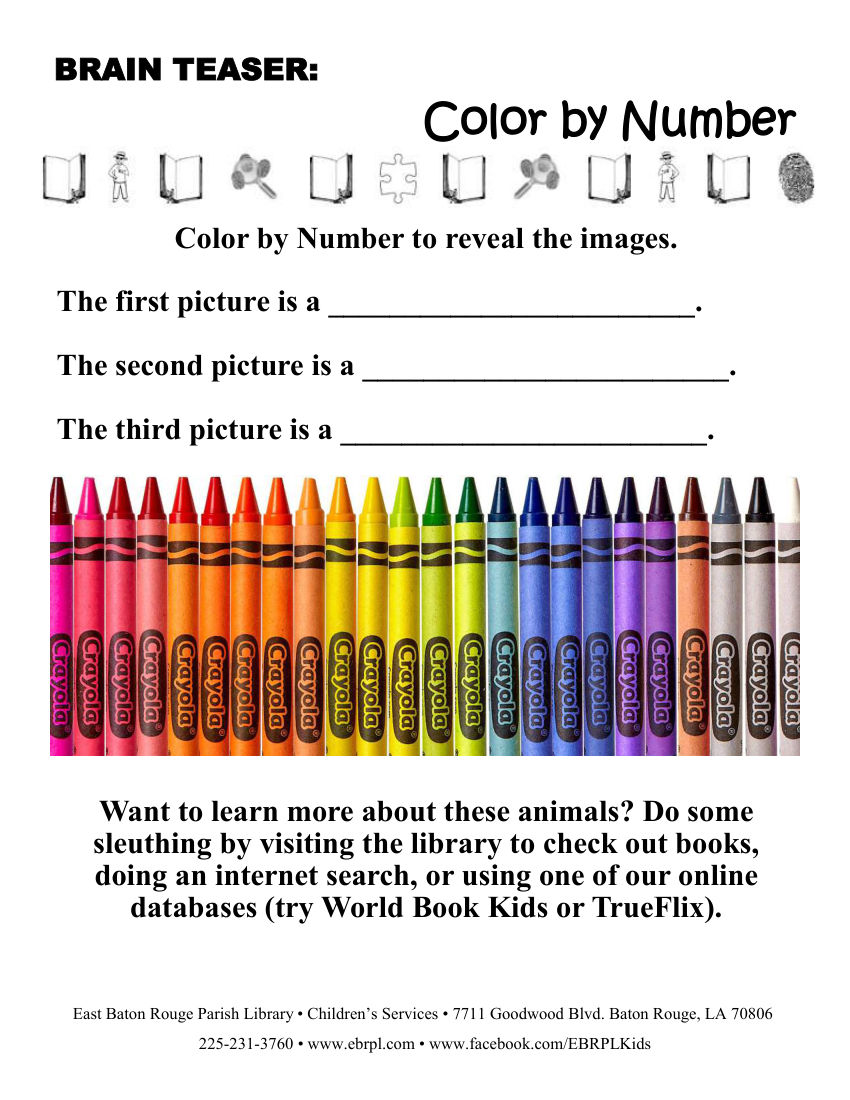 Animal Color By Number Brain Teasers