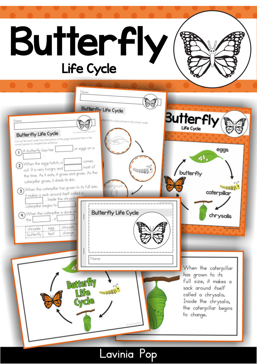 Butterfly life cycle Activity Book