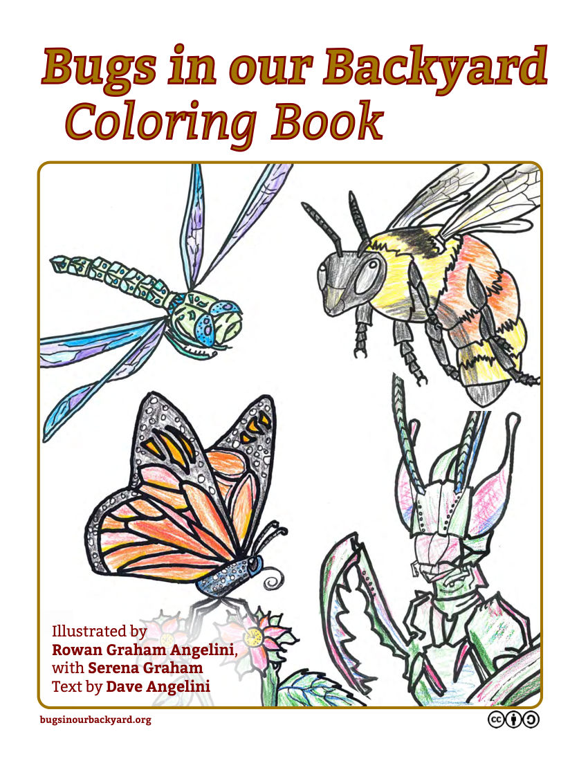 Bugs In Our Backyard Coloring Book