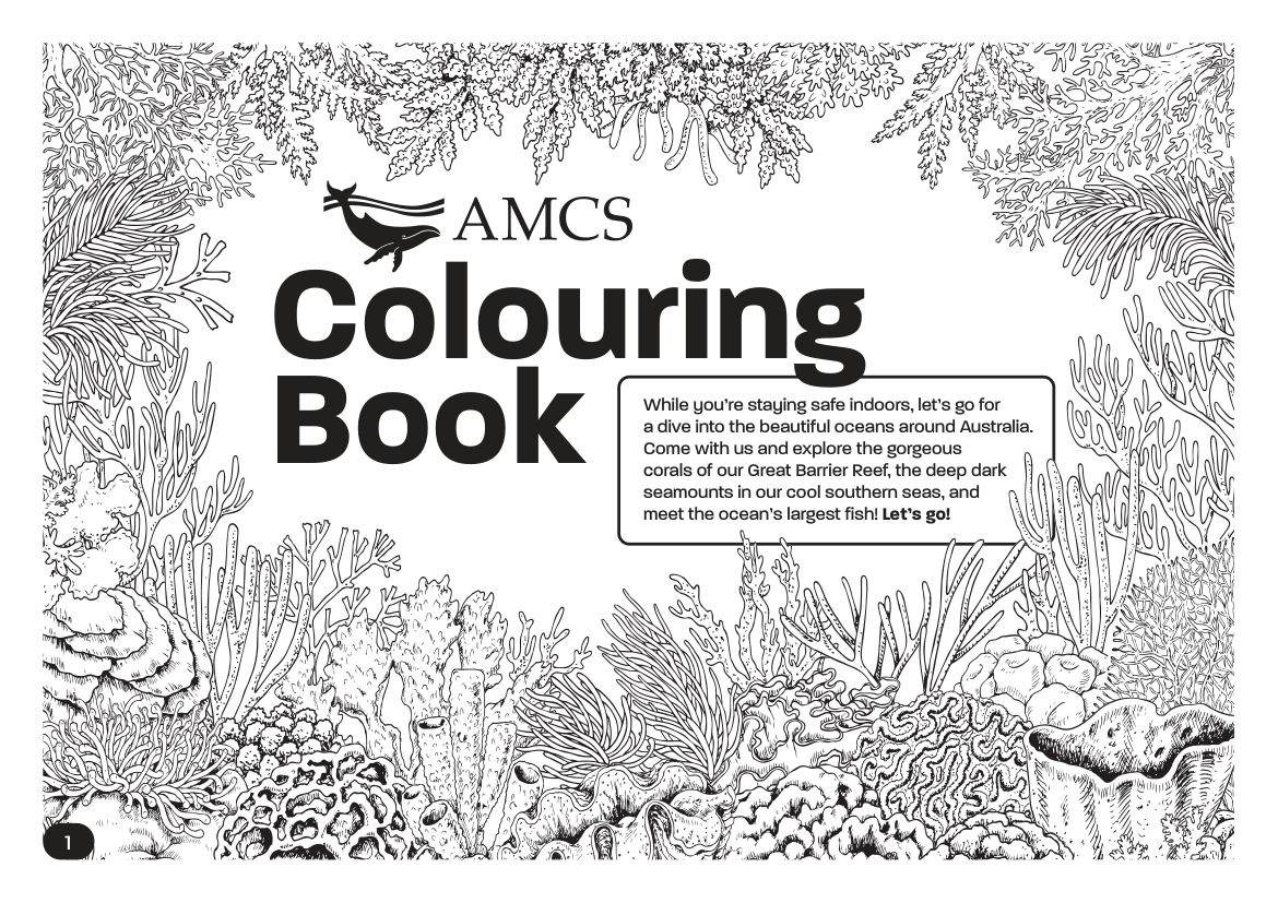 Ocean Coloring Activity Book