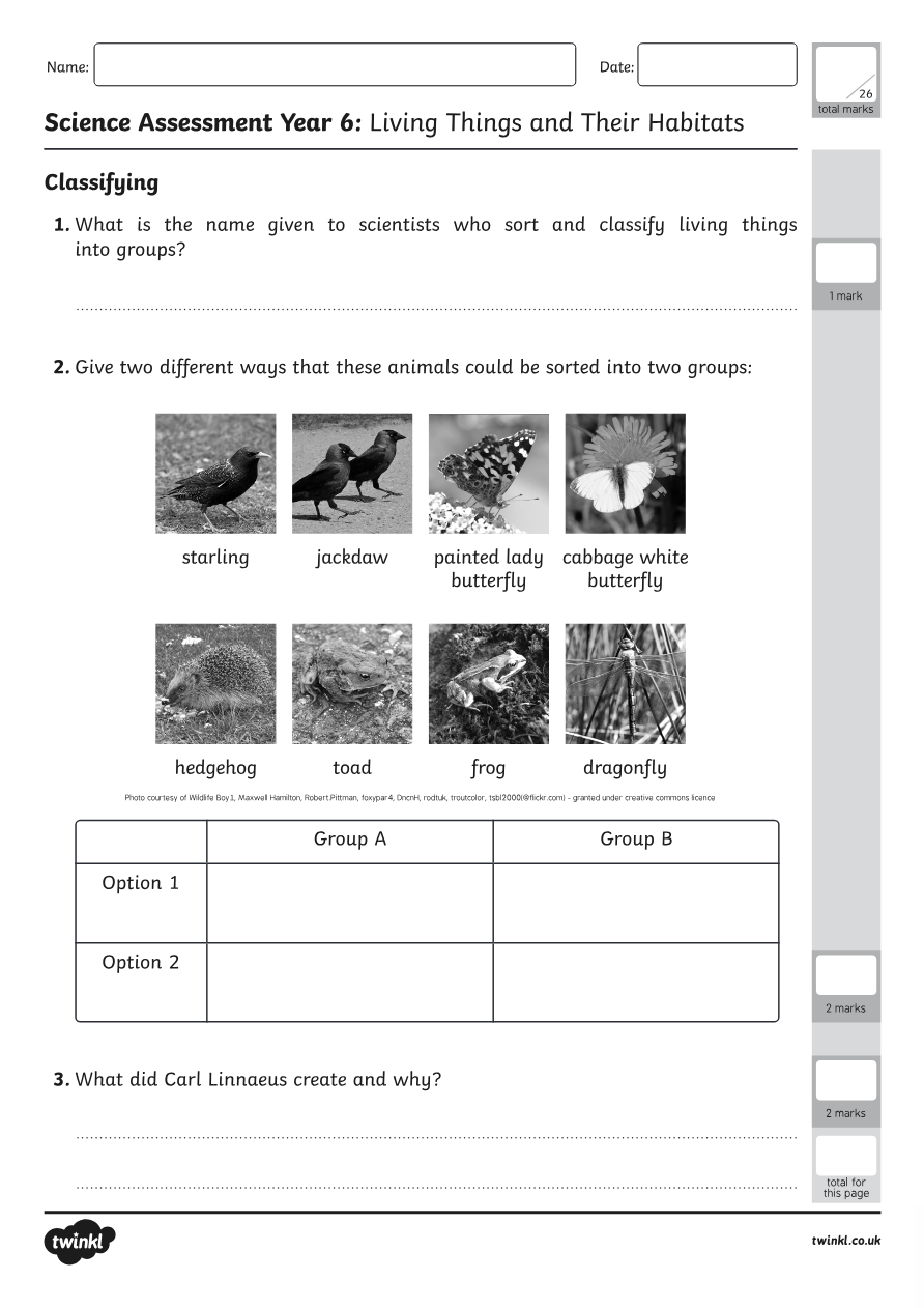 Living Things And Their Habitats Assessment