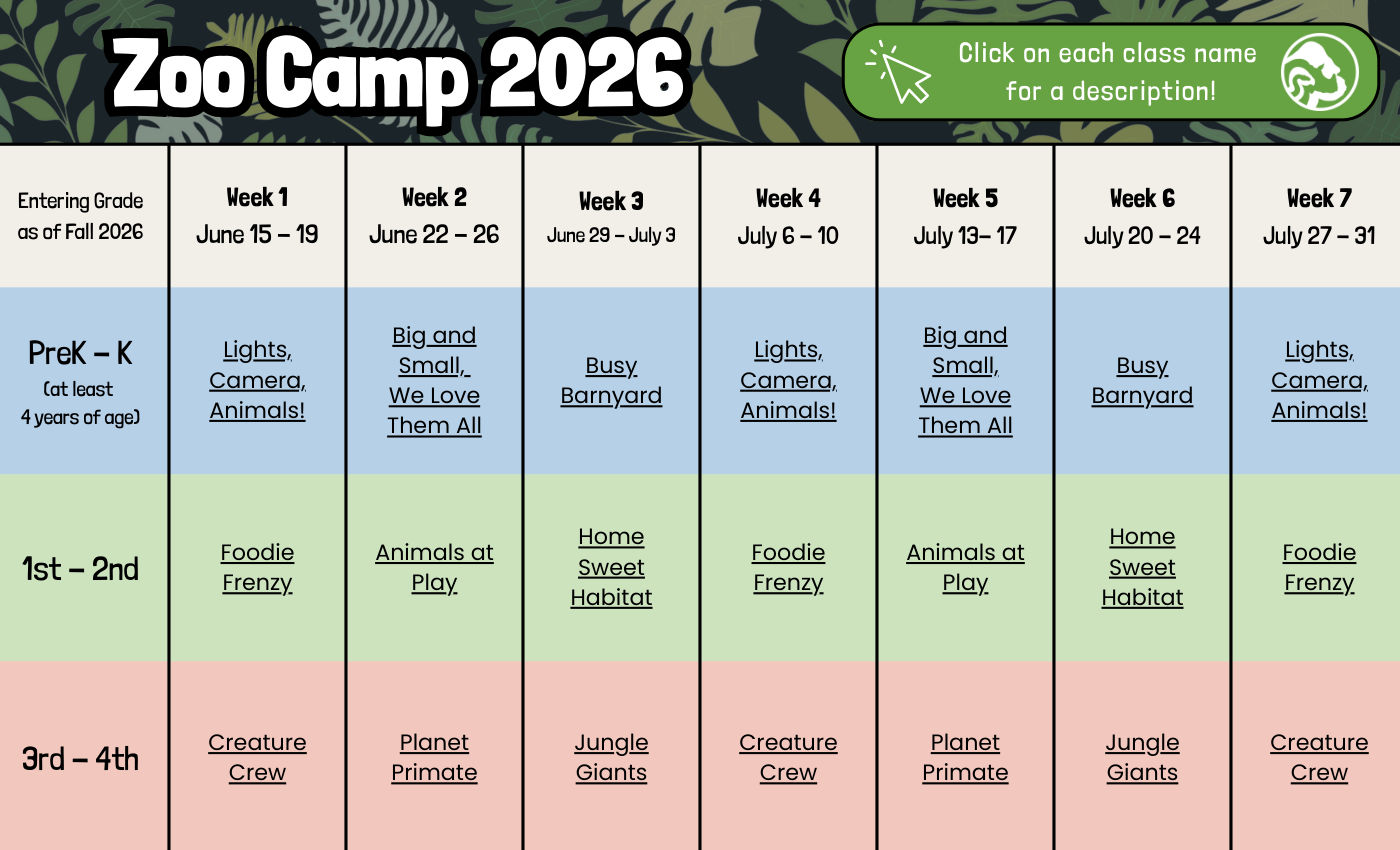 Zoo Camp 2026