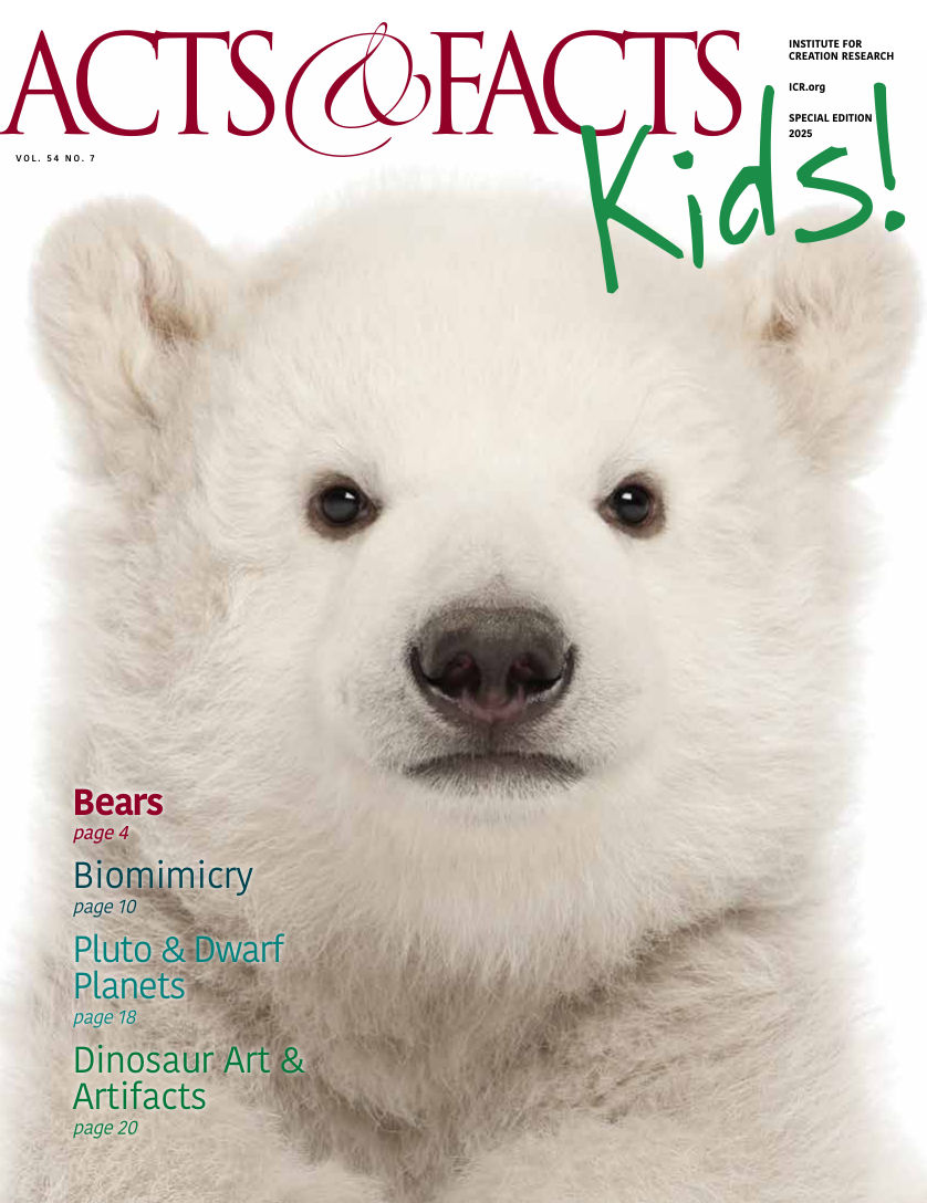 Kids & Animals Activity Book