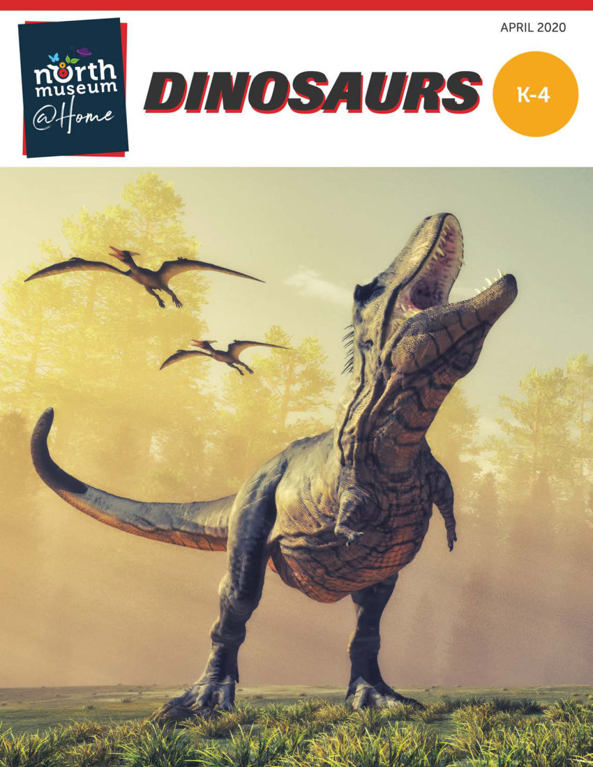 Dinosaurs Activity Book