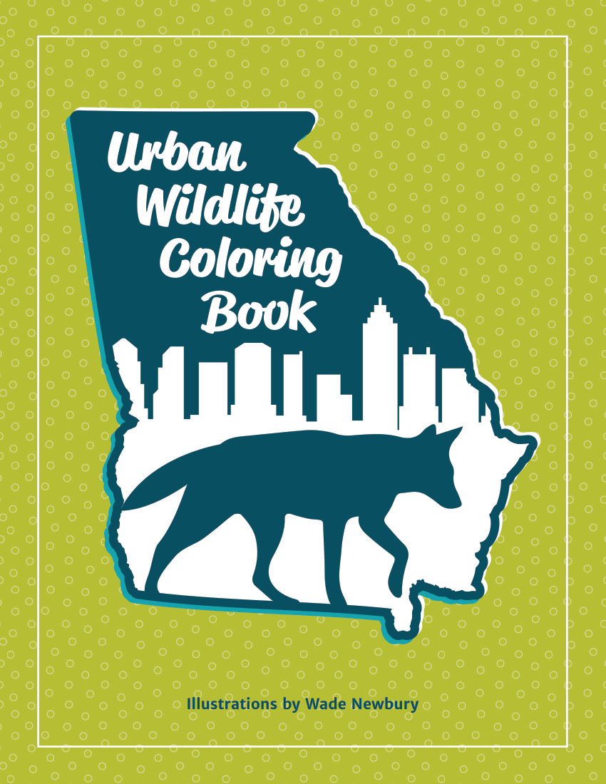 Urban Wildlife Colouring Activity Book