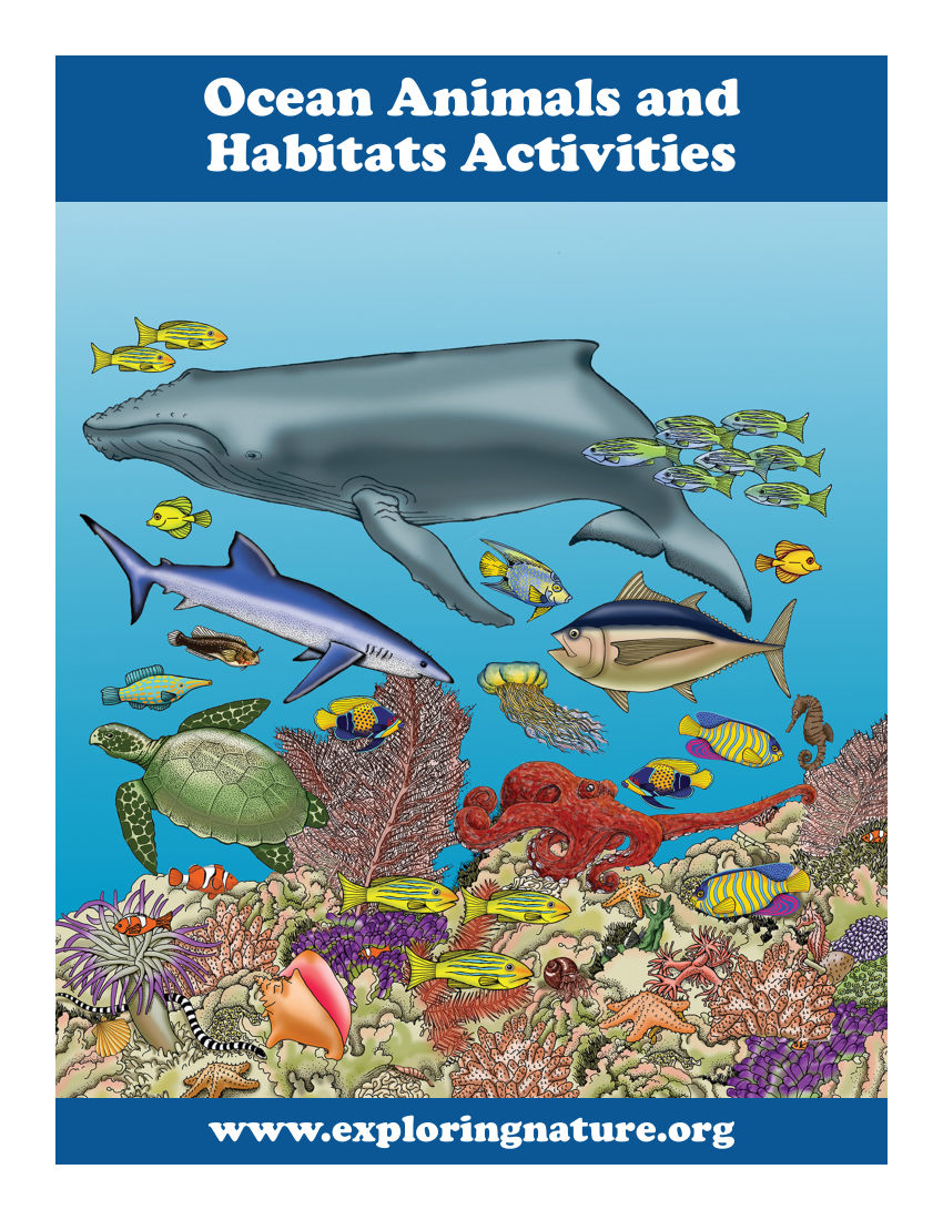 Ocean Animals and Habitats Activity Book