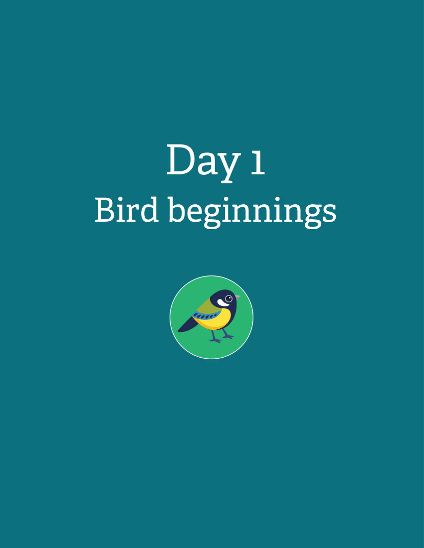 Bird beginnings Activity Book
