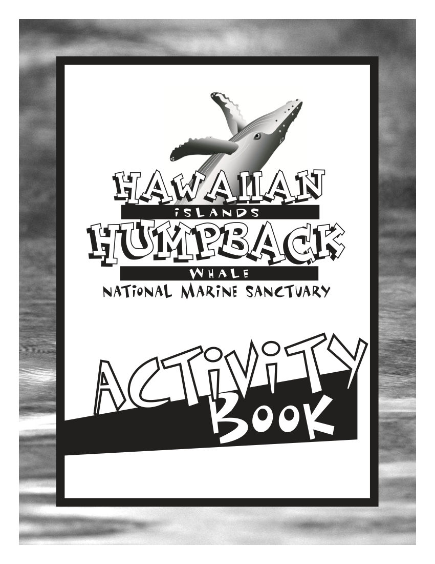 Whale Activity Book