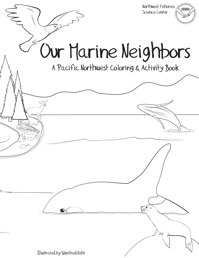 Our Marine Neighbors Coloring And Activity Book