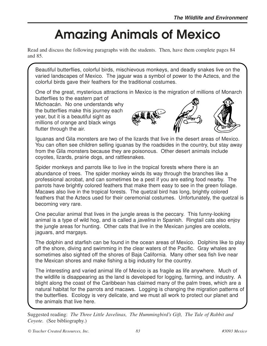 The Wildlife and Environment Activity Book