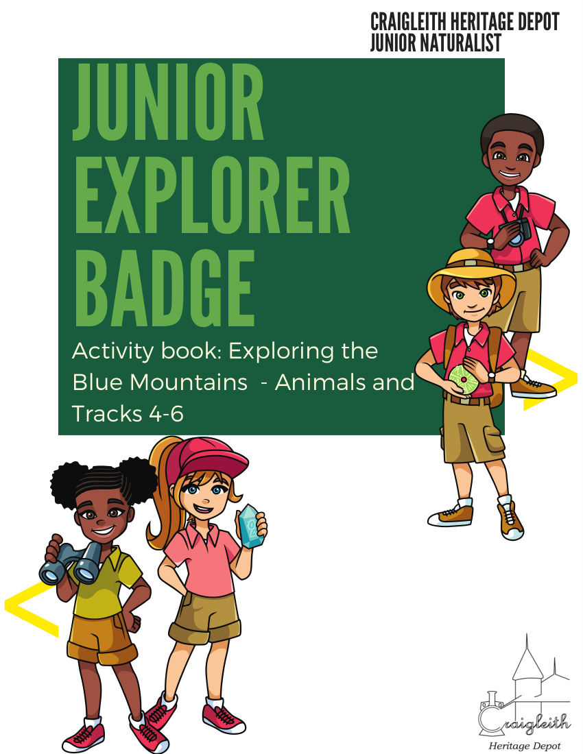 Junior Explorer: Animals Tracks Activity Book