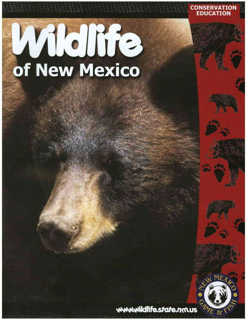 Wildlife Of New Mexico Activity Book