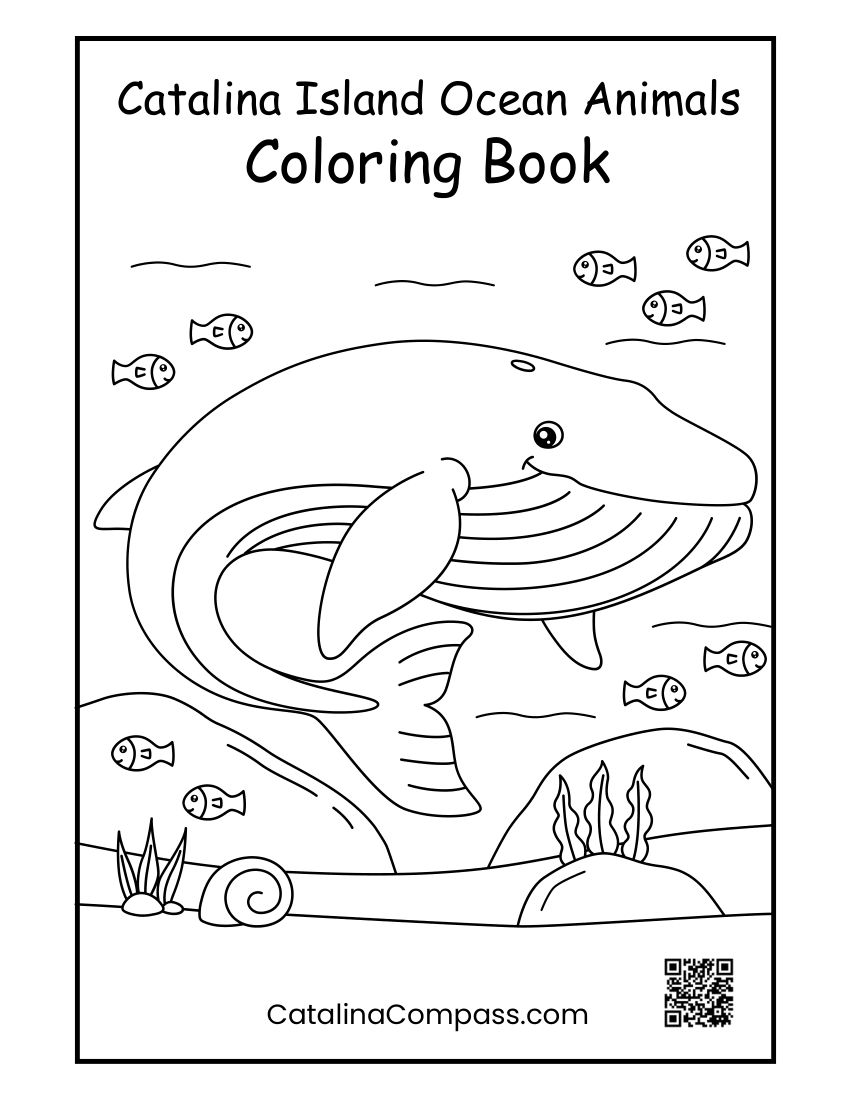 Catalina Island Ocean Animals Coloring Book