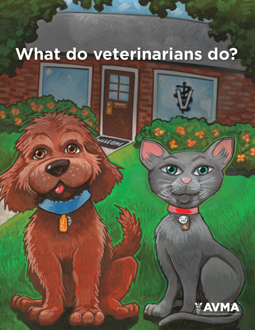 What Do Veterinarians Do Coloring Book