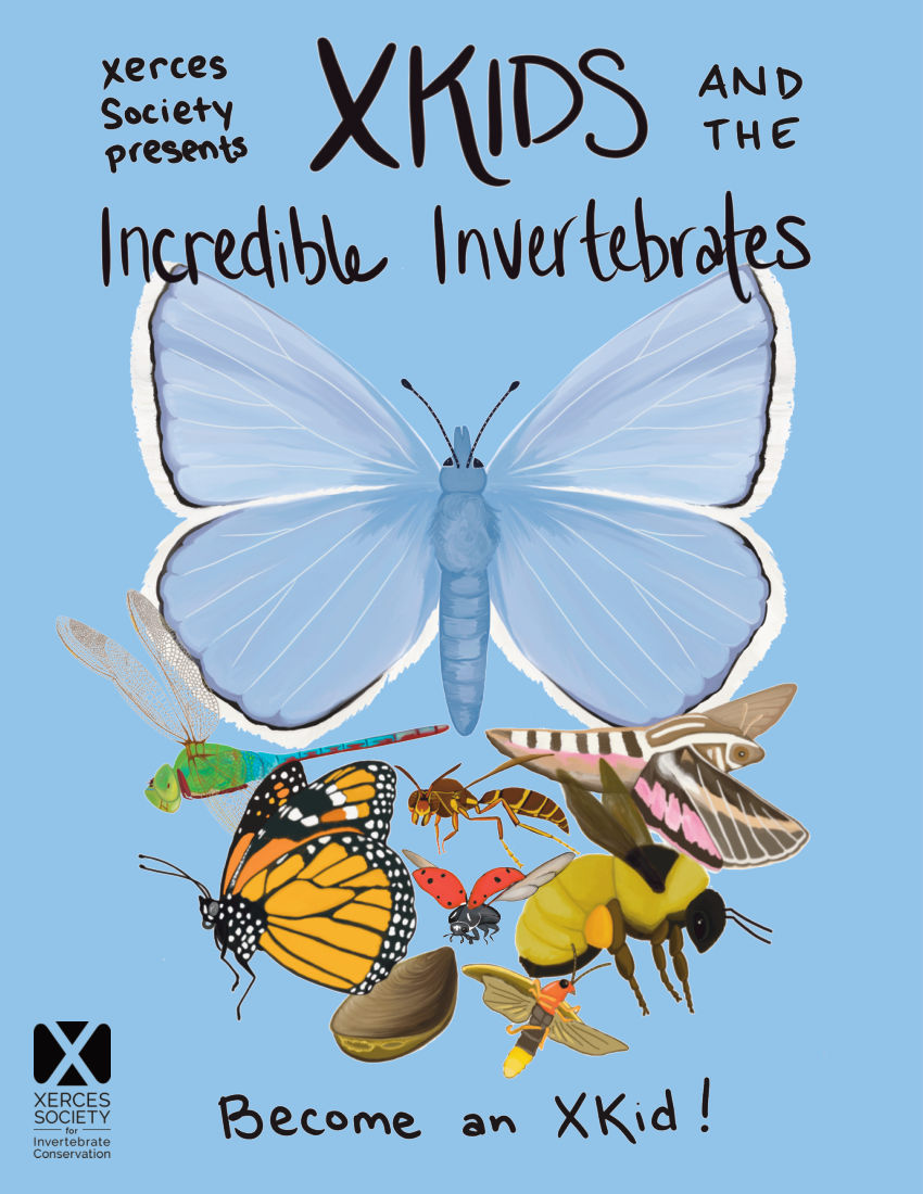 XKids And The Incredible Invertebrates