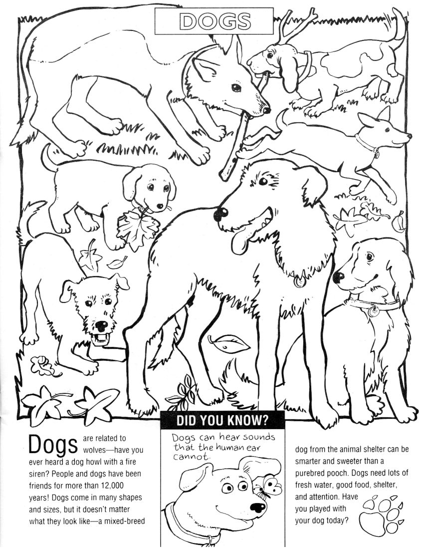 All Animals Coloring Sheets