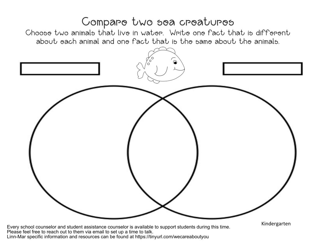 Compare two sea creatures Activity Book