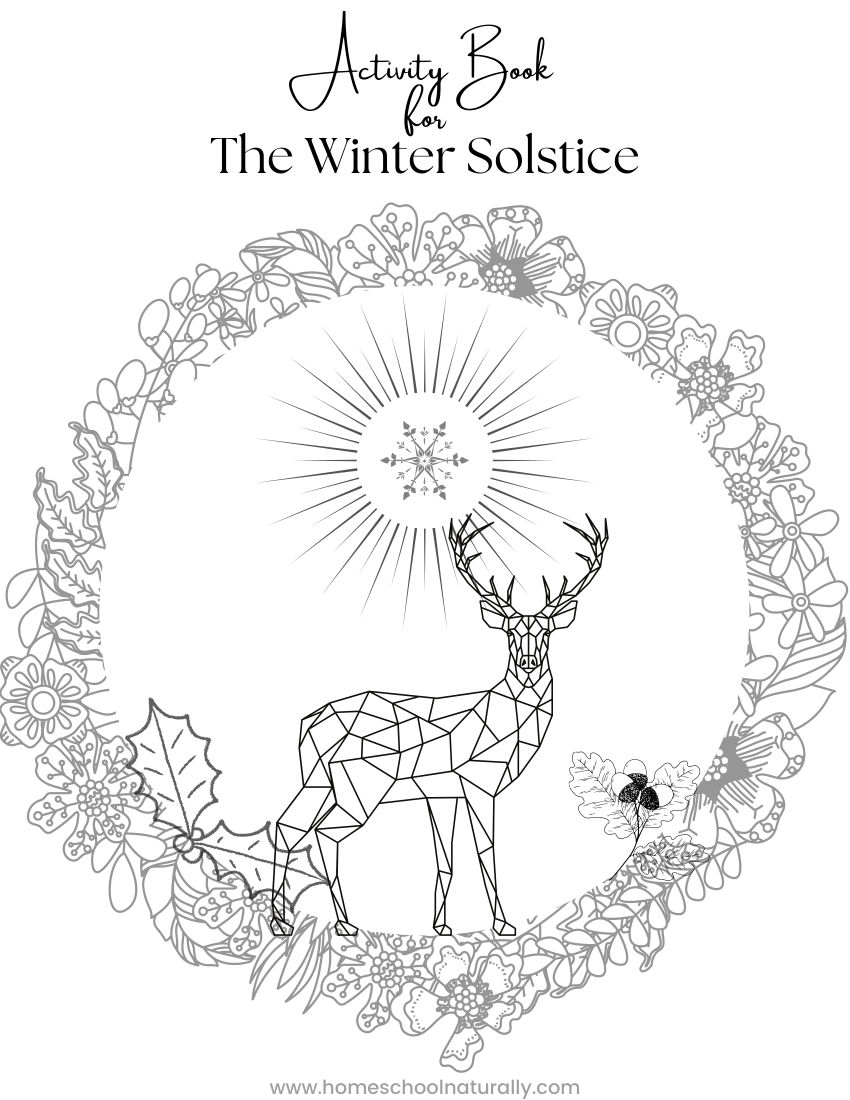The Winter Solstice Activity Book