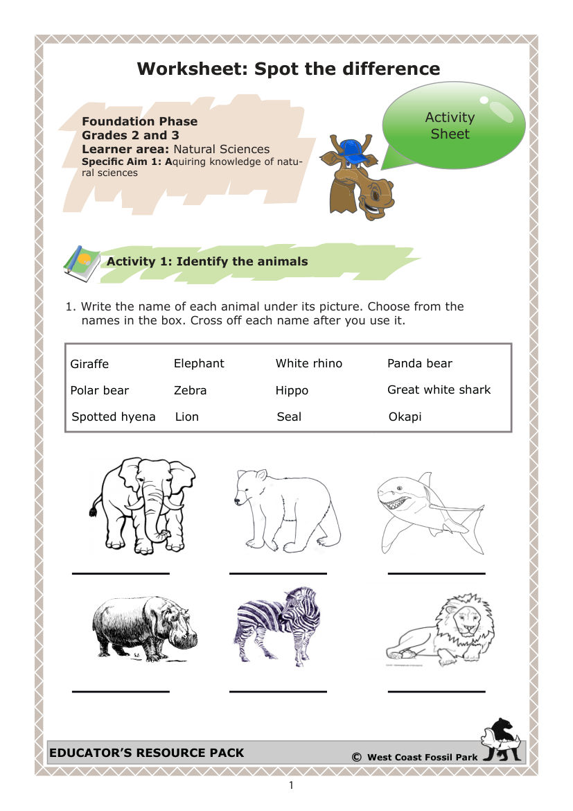 Identify the animals Activity Book